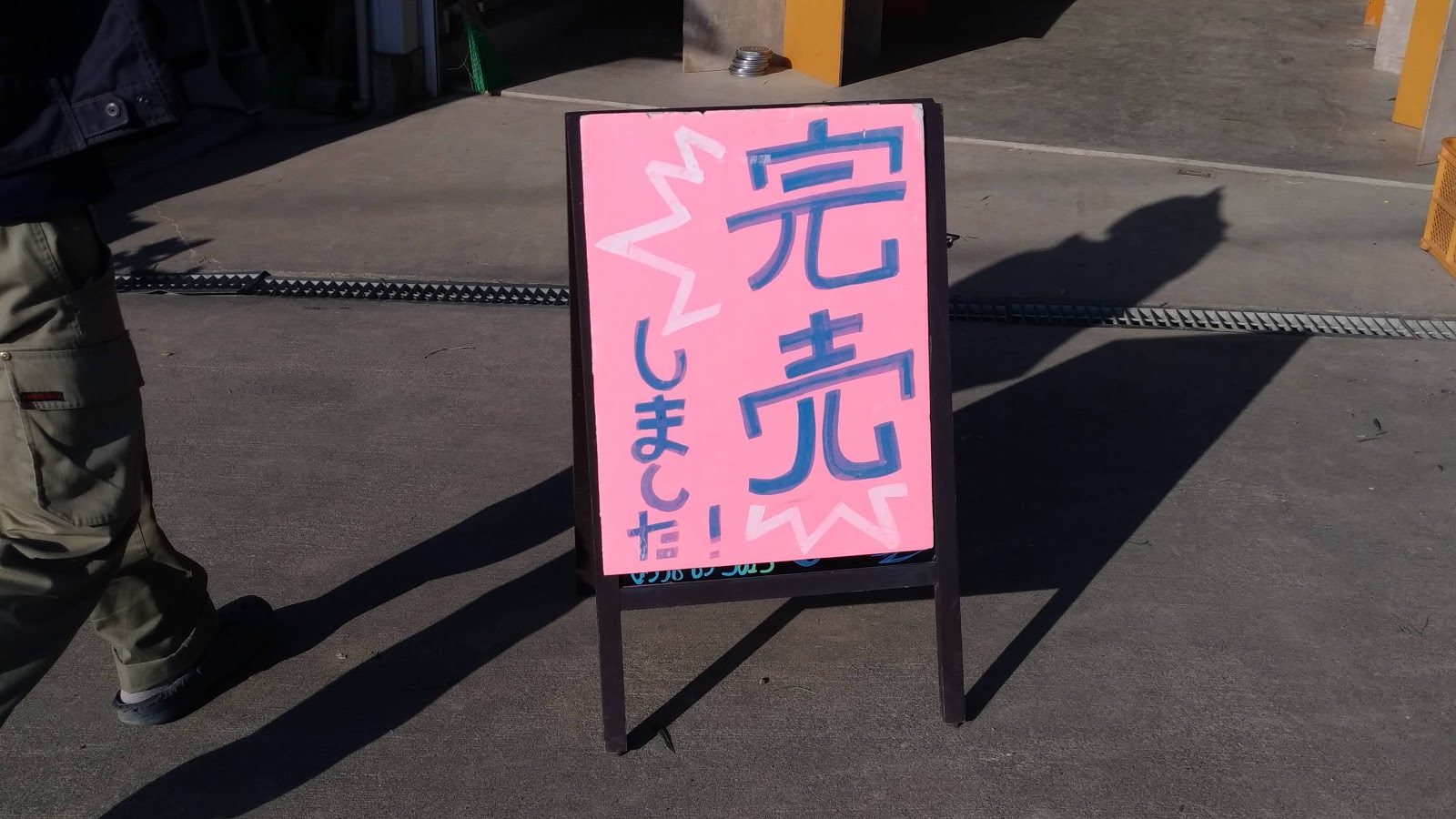 モロコシ03