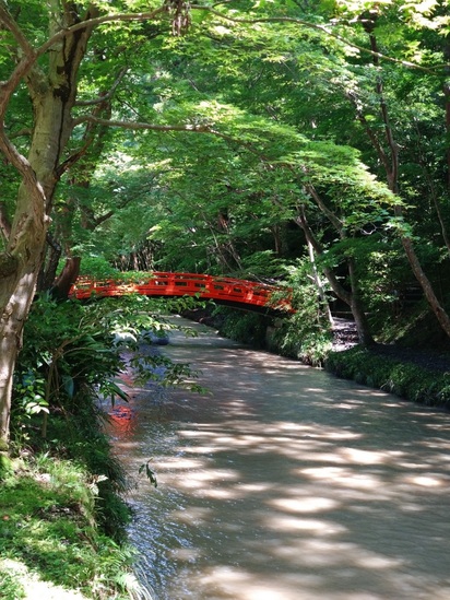 仲町歯科 2023年6月15日ブログ (2)