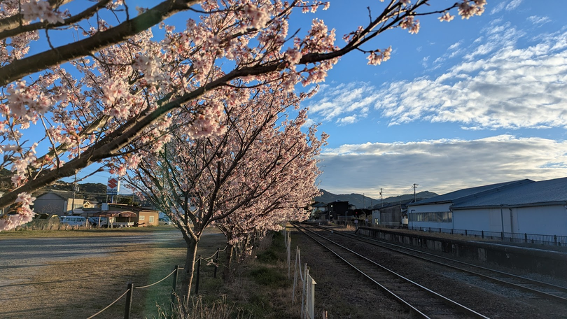 4月の医院からのお知らせ