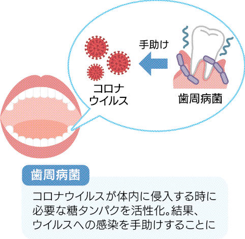 なぜ3ヵ月毎のPMTCがおすすめなのか? 周智郡森町