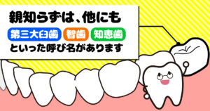 ◆そもそも、「親知らず」とは