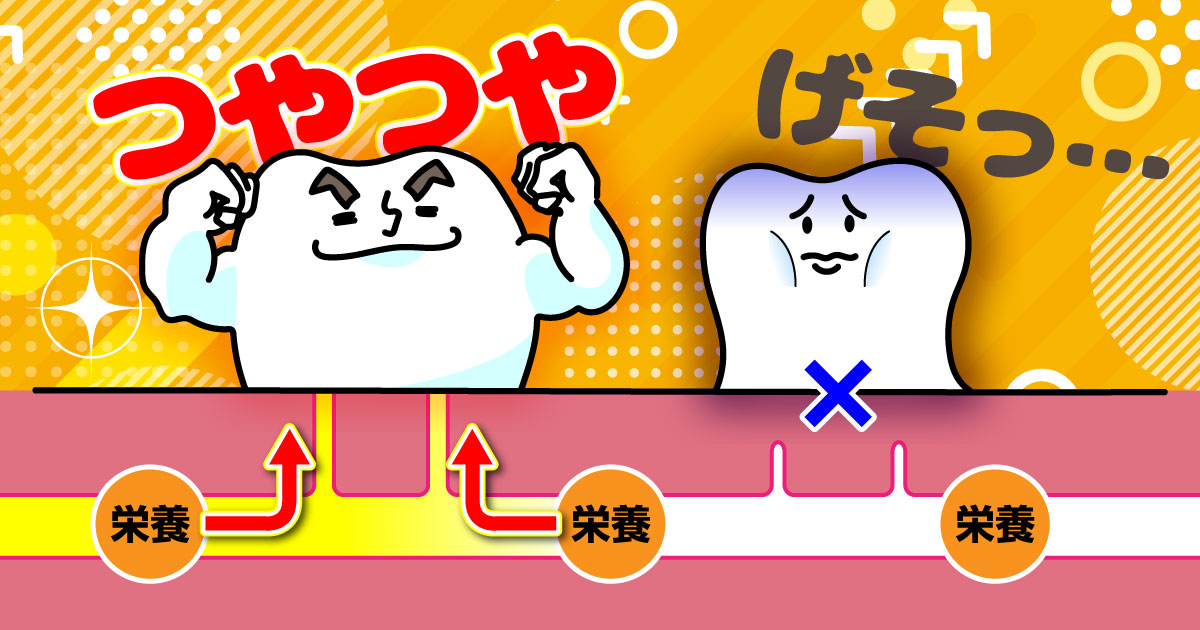 ◆できれば「神経」は と りたくない…