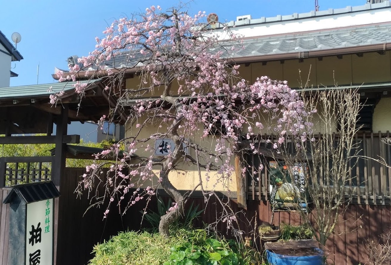 院長予定