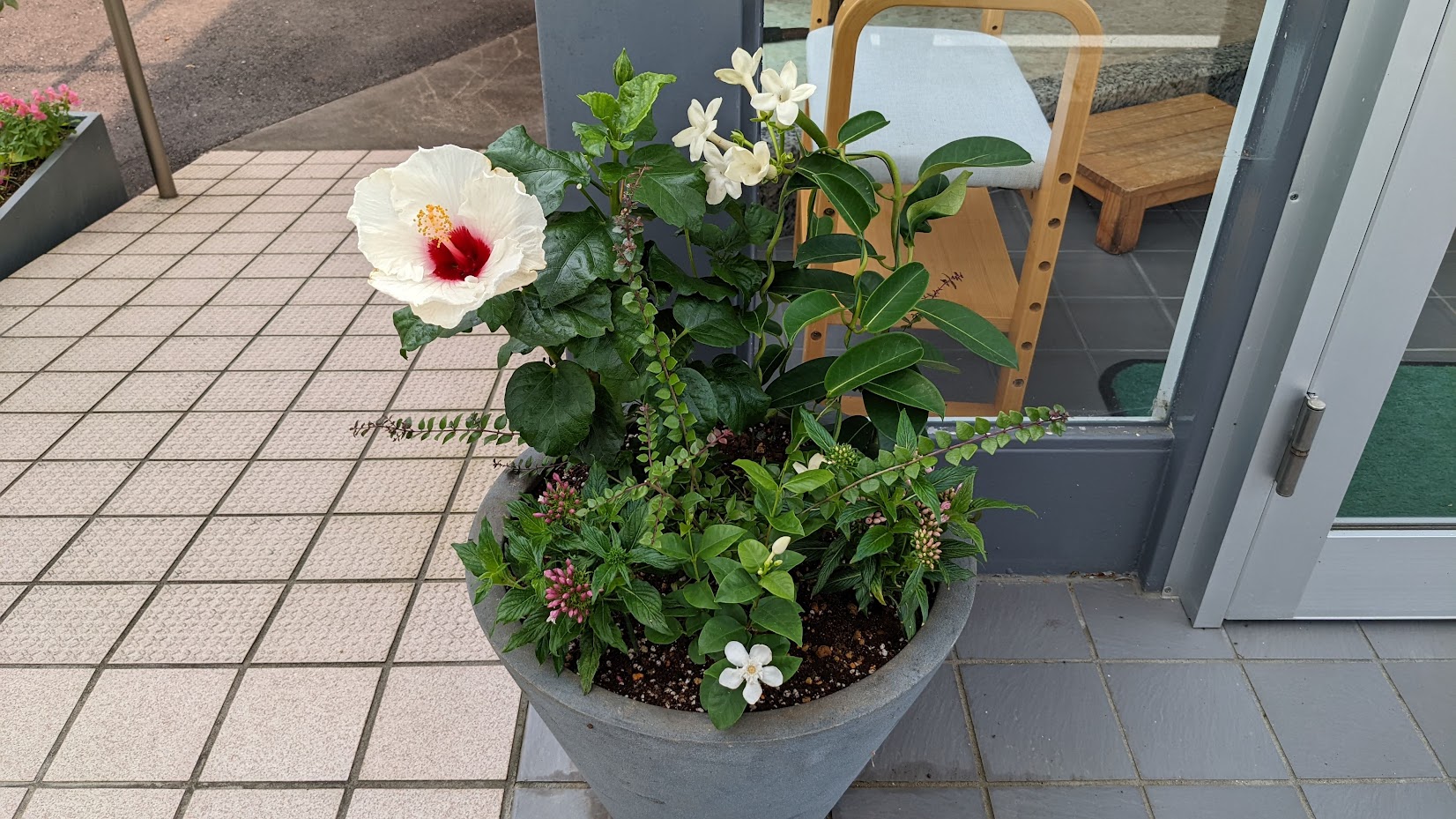 6月の医院からのお知らせ