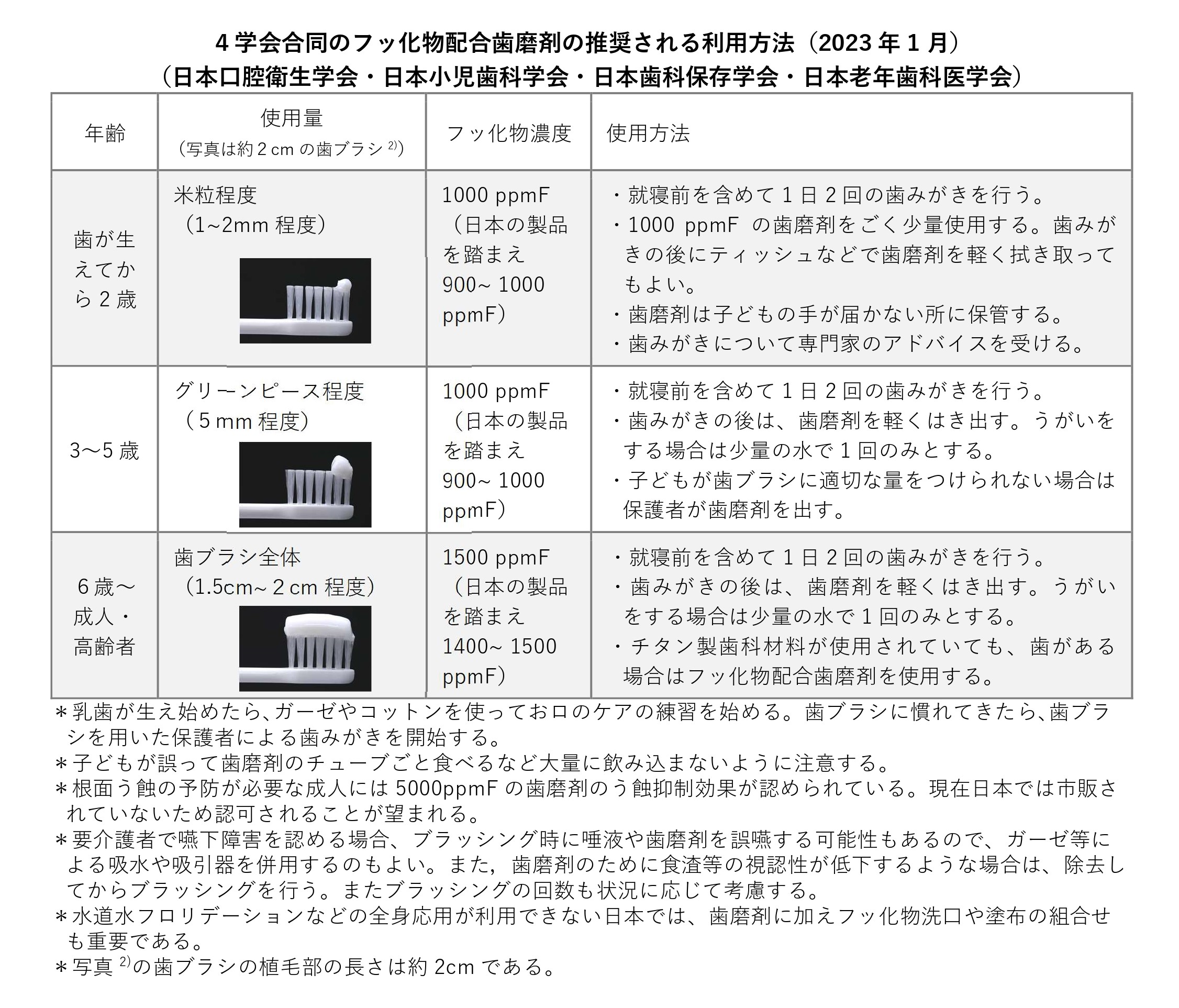 歯磨剤の利用方法(年齢別の使用量・濃度)