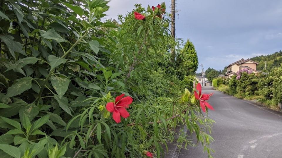 9月の医院からのお知らせ　周智郡森町